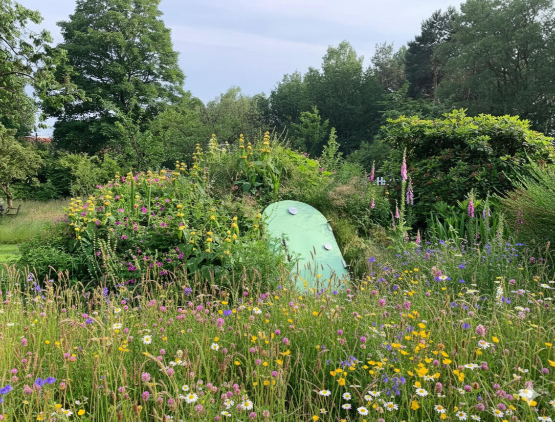 A door in a small mound covered in beautfil wildflowers.